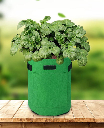 Featuring a convenient side window, harvesting your precious potatoes has never been easier! 🪴 The double handles add extra ease, allowing you to effortlessly transport your thriving plants. 