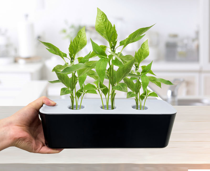 New home indoor plant planter vegetable planter home office hydroponic intelligent vegetable and flower planter